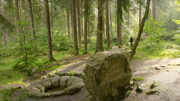 Foto im Wald, ein großer Stein im Vordergrund trägt die Aufschrift 