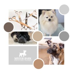 Eine Collage aus Hundebildern, dem Mr. Bark Logo und Scheren, die zur Hundepflege benutzt werden. Dazwischen liegen Farbkreise, die das Farbschema von Mr. Bark darstellen und sich aus den Bildern ergeben
